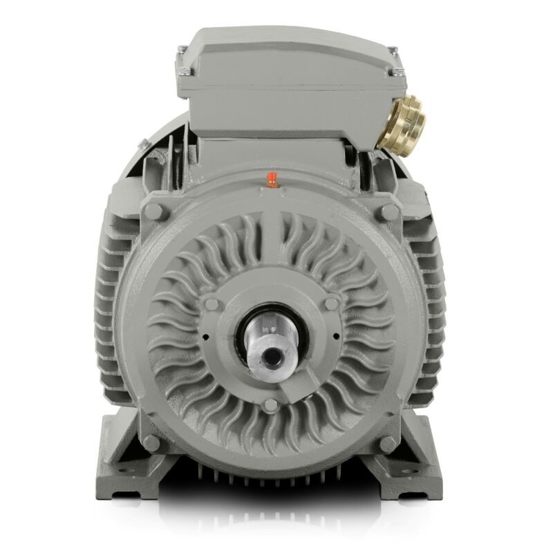 Motor eléctrico 110kW 3LC (IE3-400V/690V- 1000 rpm) Buen precio