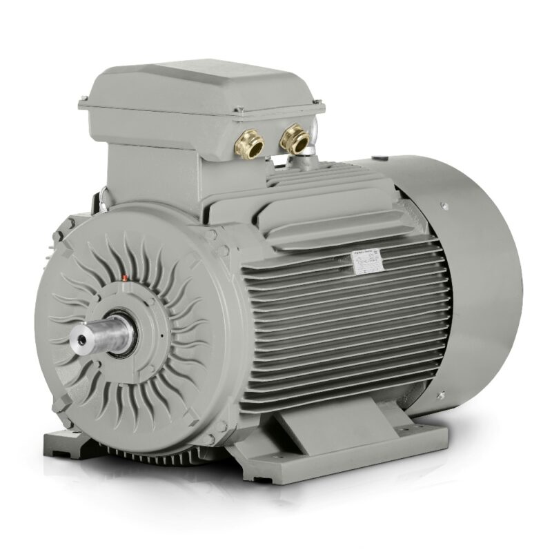 Motor eléctrico 110kW 3LC (IE3-400V/690V- 1000 rpm) Buen precio