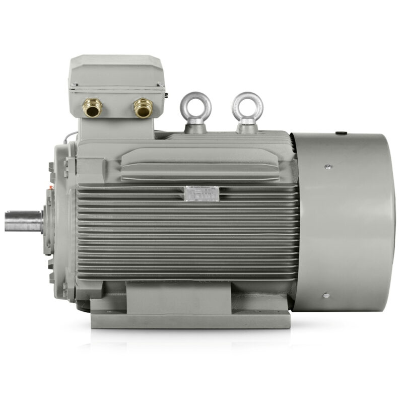 Motor eléctrico 200kW 3LC (IE3-400V/690V- 1000 rpm) Buen precio